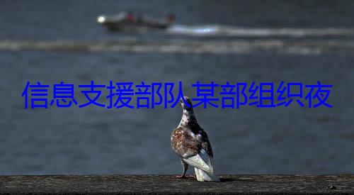 信息支援部夜间修理训练图队某部组织